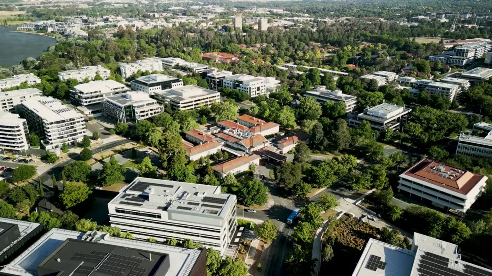 Aerial view of a leafy university campus